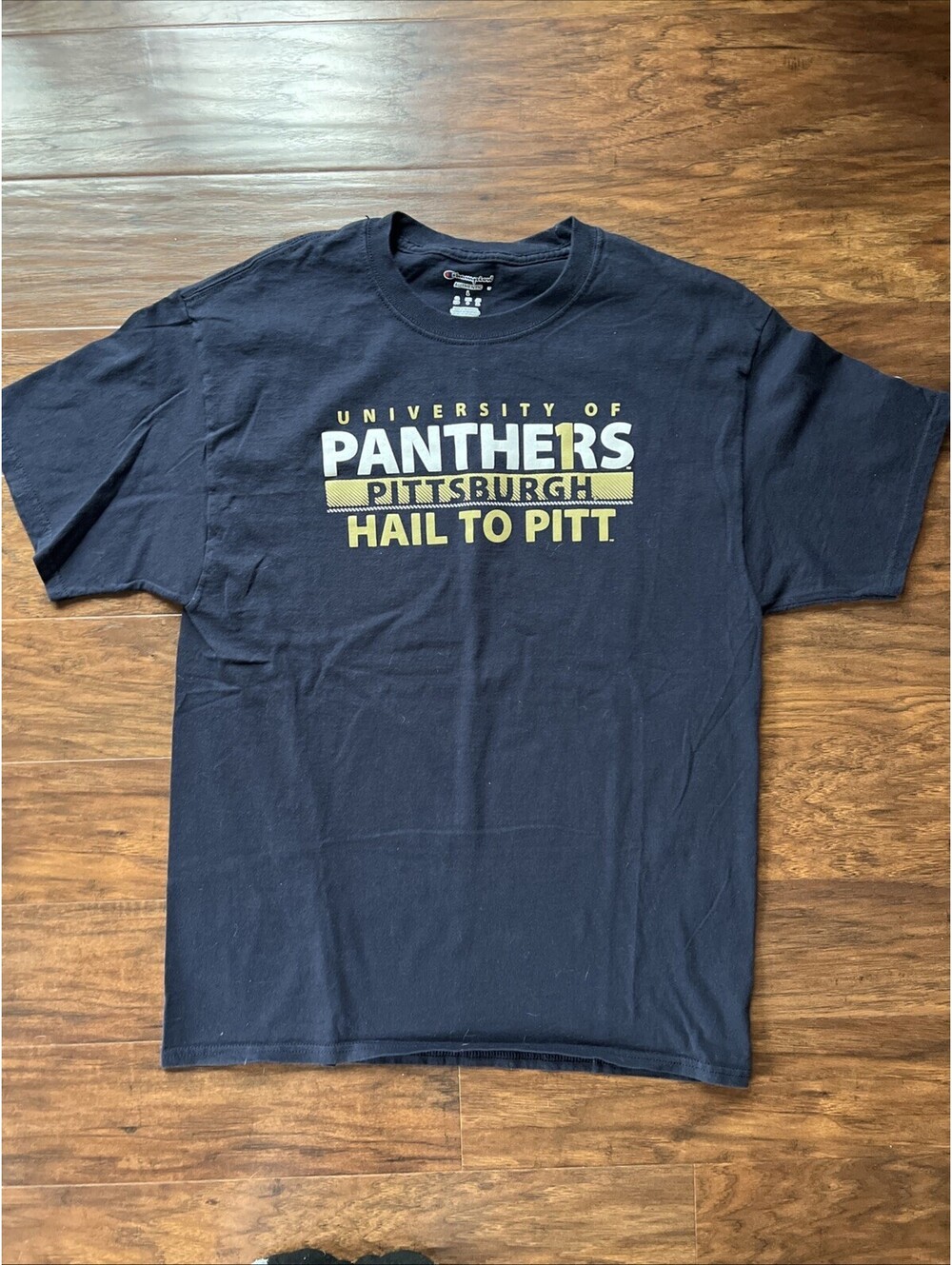 Pittsburgh Panthers Hail to Pitt T Shirt Size Large Champion Brand Blue
